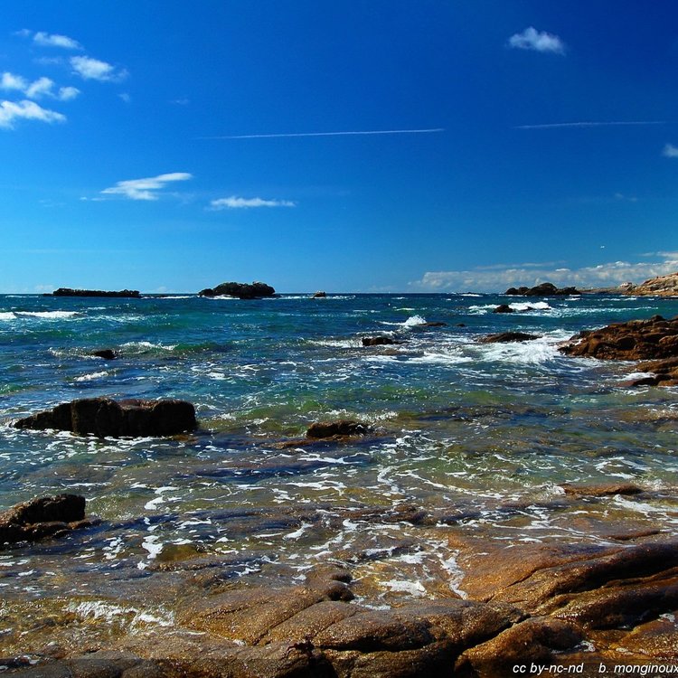 quiberon-bord-de-mer-1_2 (2).jpg