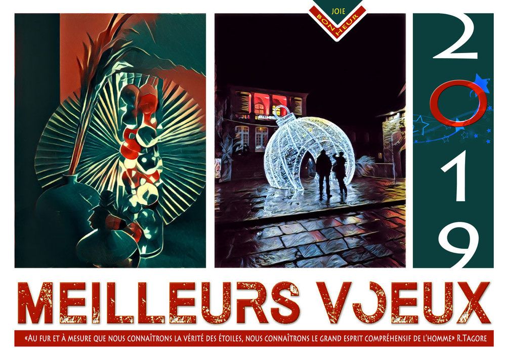 VOEUX 2019 bd.jpg