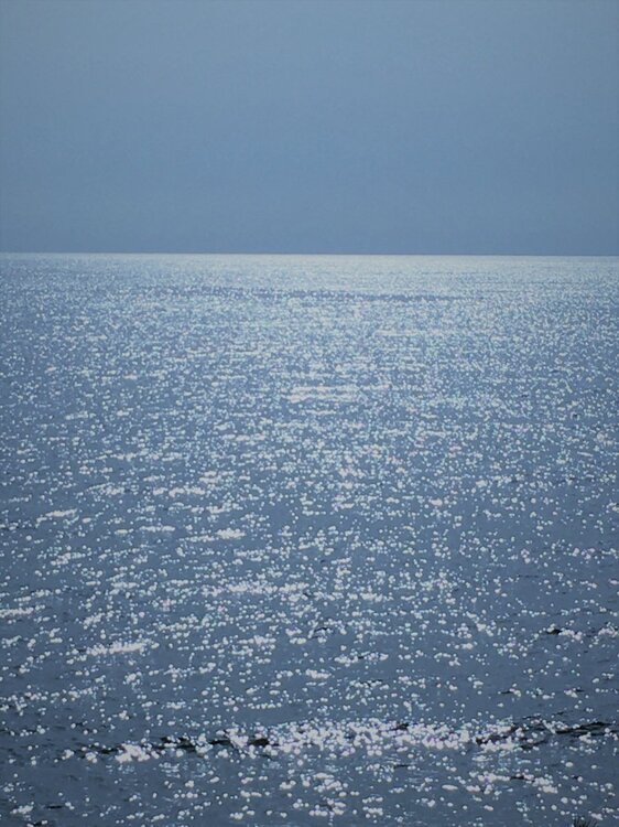 La symphonie bleue.JPG