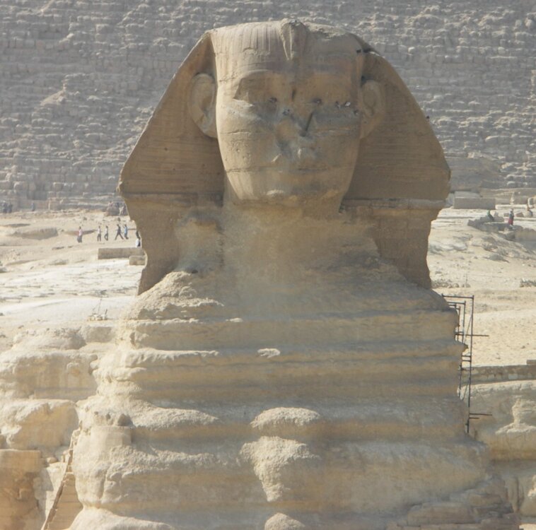 Le sphynx.jpg
