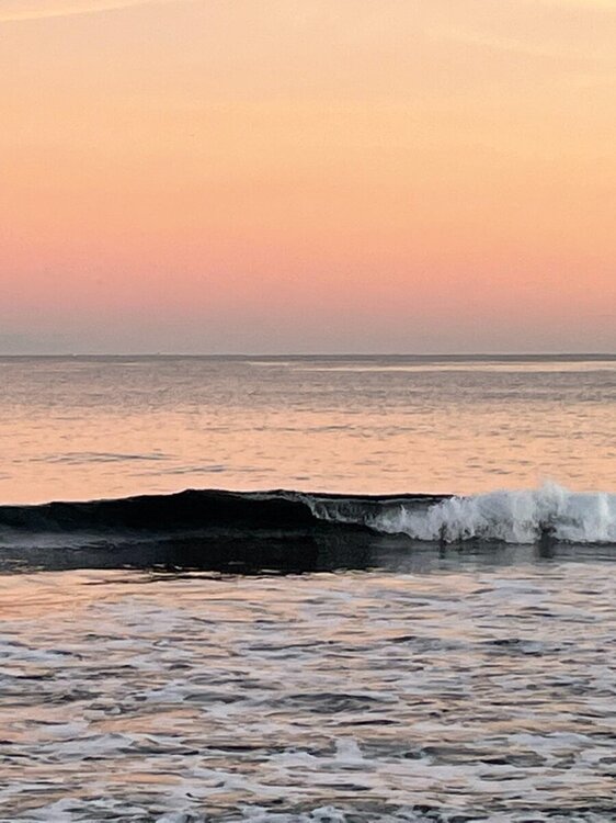 La vague noire 1.JPG