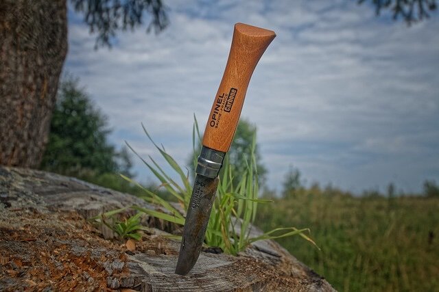 opinel.jpg.51ca47e6b381e45ba18c39b92cfe8b2b.jpg
