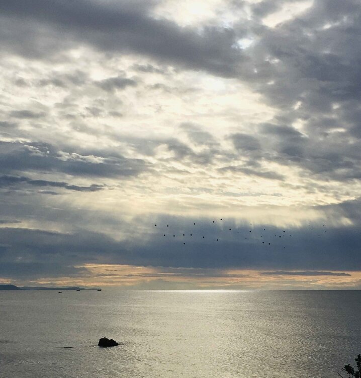 Au milieu de nulle part.jpg