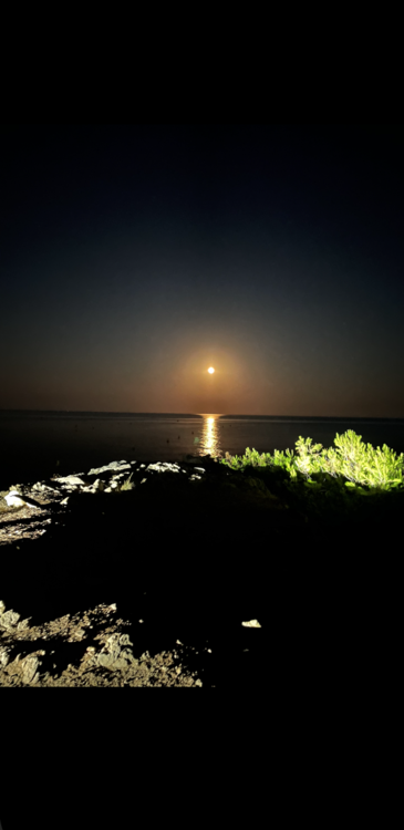 Le bal lunaire  photographie personnelle.png