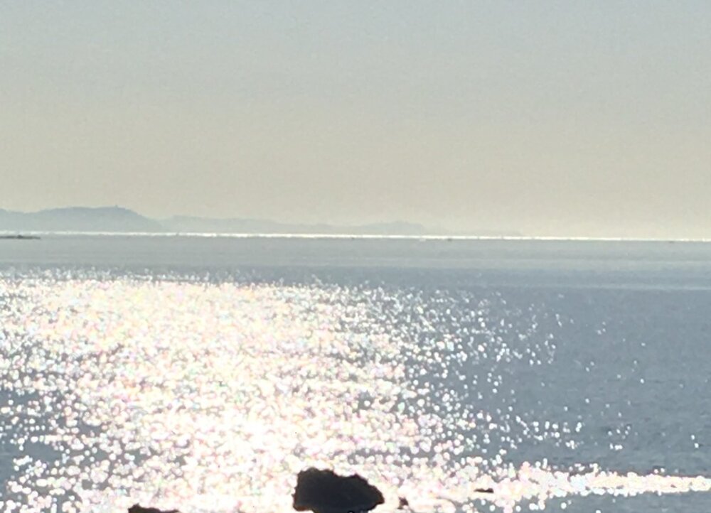 La rive désincarnée.jpg