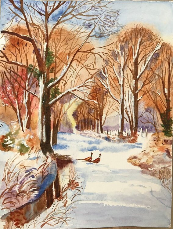 657163323_Aquarellefaisansneige.thumb.jpg.e02d71f83e4c707418ec57d595a130e1.jpg
