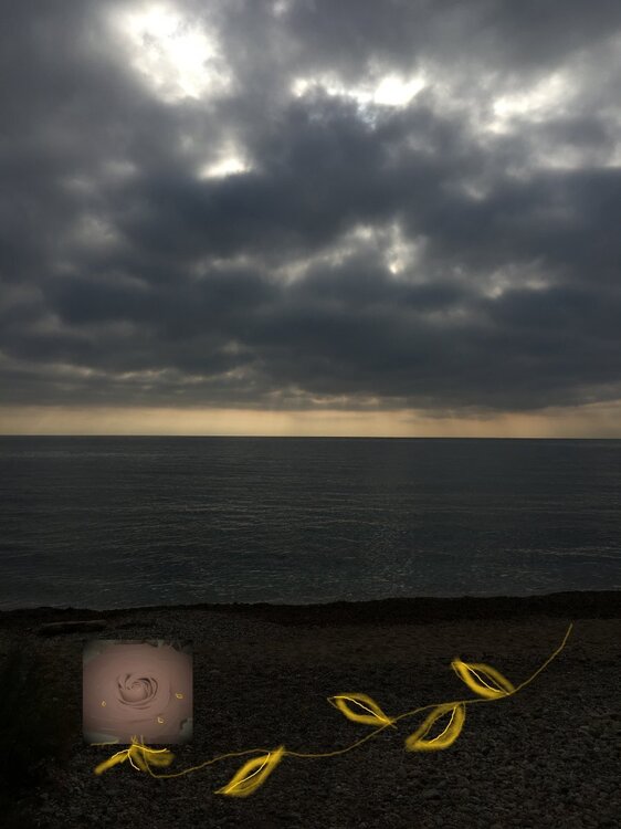 Les percées de la lumière.jpg