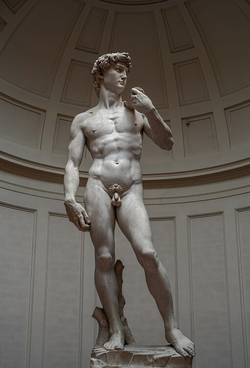 Michelangelo's_David_-_right_view_2.jpg