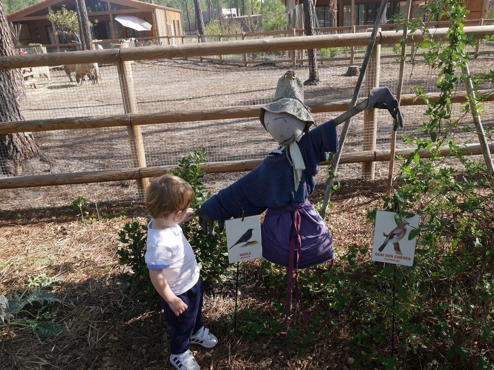 P1080972 (Copier).JPG