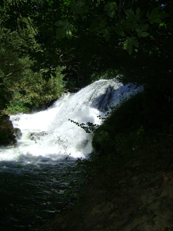 Voile de mariée.JPG