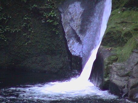 286-Bruits et murmures.JPG