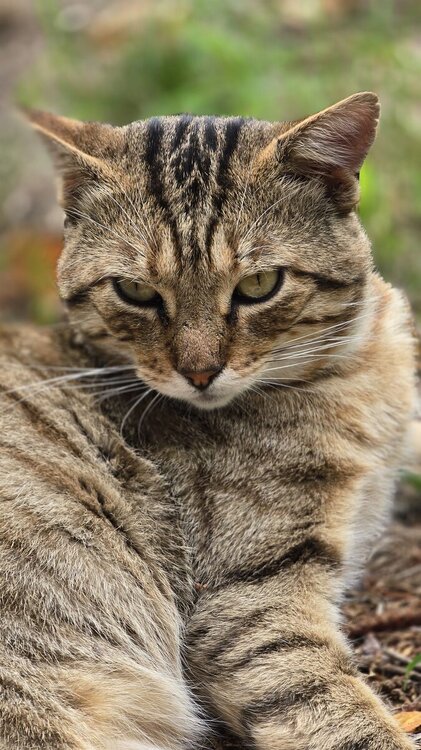 WhatsApp Image 2025-07-30 à 10.02.36_88169577.jpg