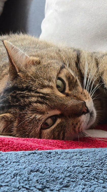 WhatsApp Image 2025-10-07 à 14.36.01_cb9a85d8.jpg