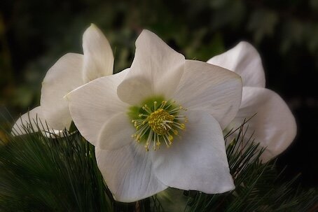 299-Hiver.jpg