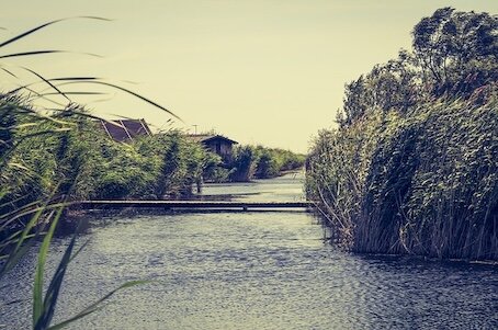324-L'eau et le vent.jpg