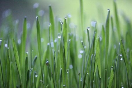 325-Quand la terre appelle la pluie.jpg