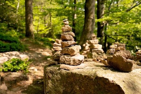 333-Chemin perdu.jpg