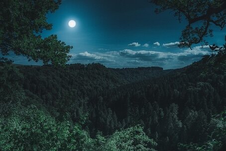 337-Le mois des longues nuits.jpg